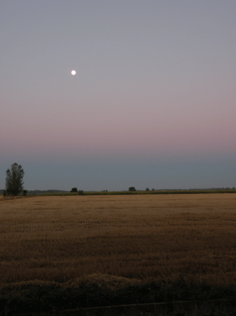 Mansillas-34-countryside-with-moon-darker