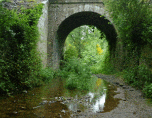 stream-bridge
