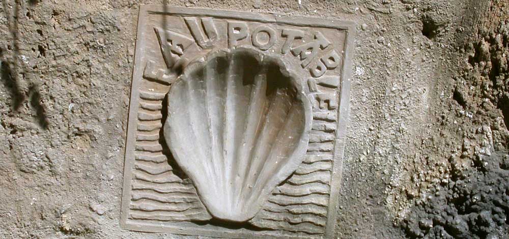 Scallop Shell Design on Wall