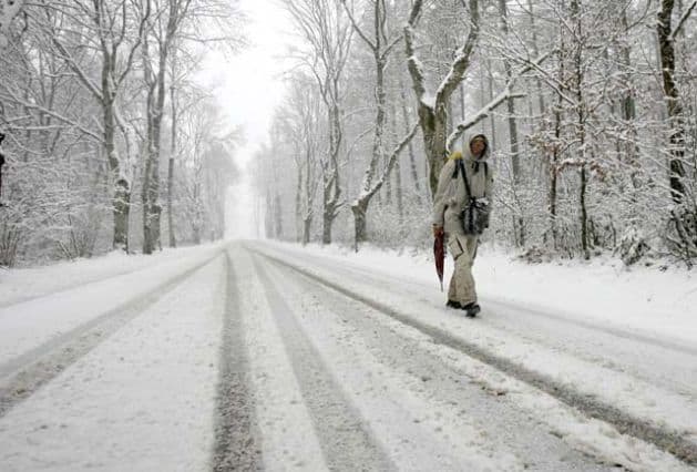 Camino in winter