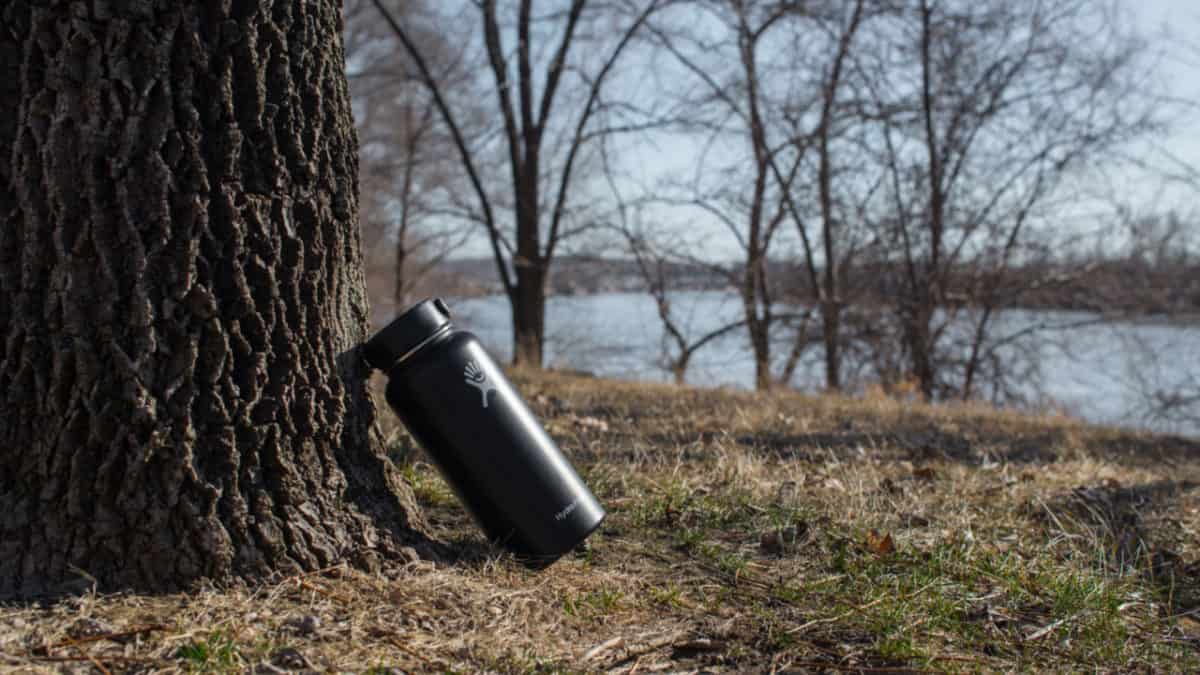 Hydro Flask bottle leans against a tree