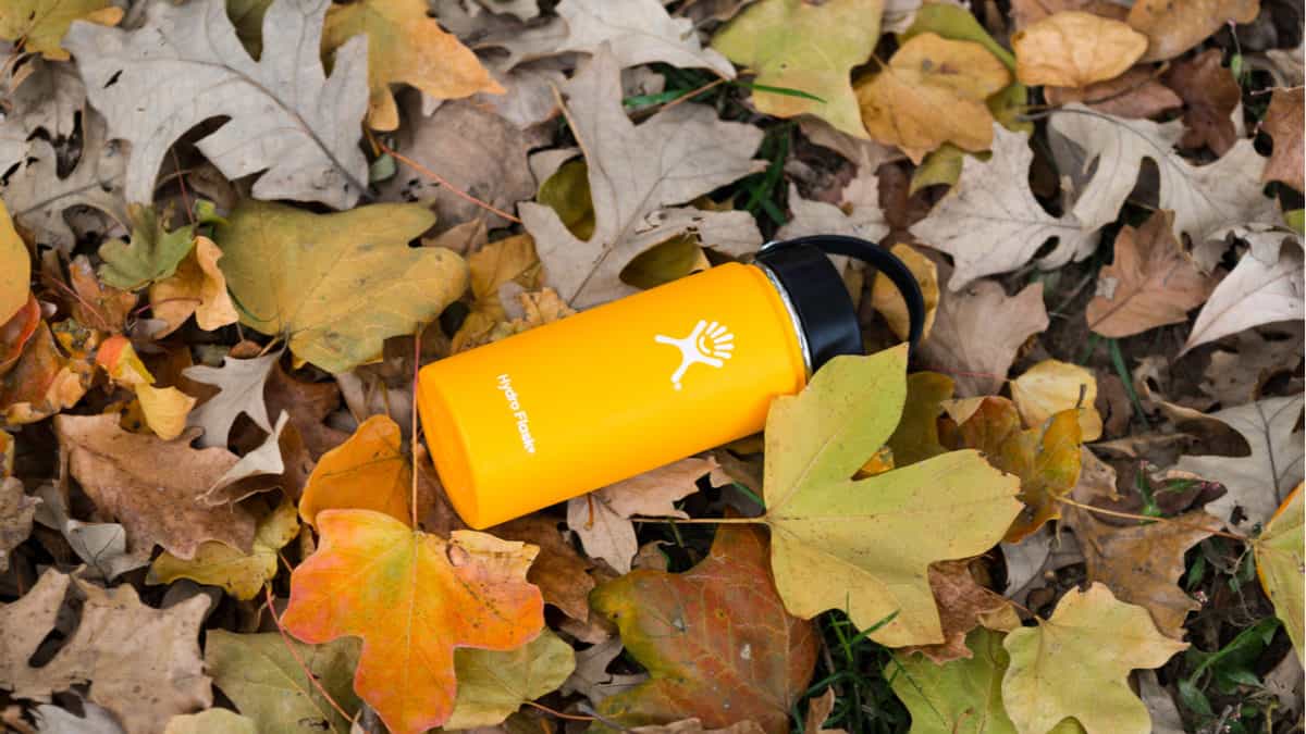 Hydro Flask bottle on a pile of leaves