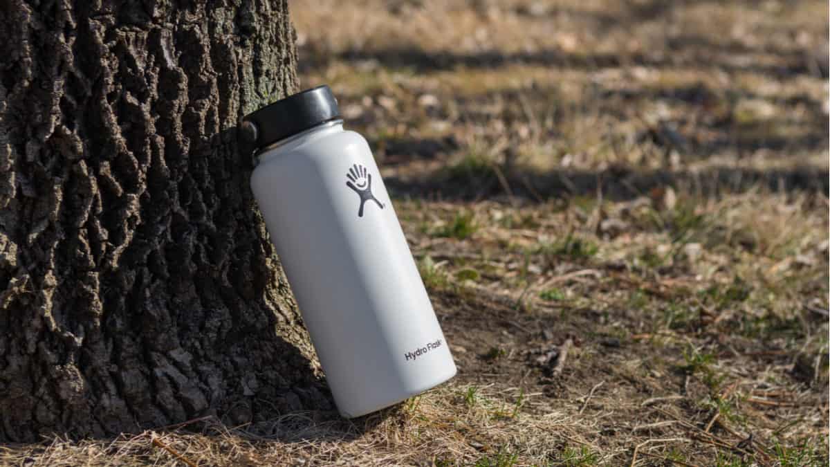 Tree and a white Hydro Flask