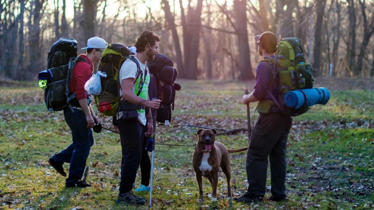 Hikers with backpacks