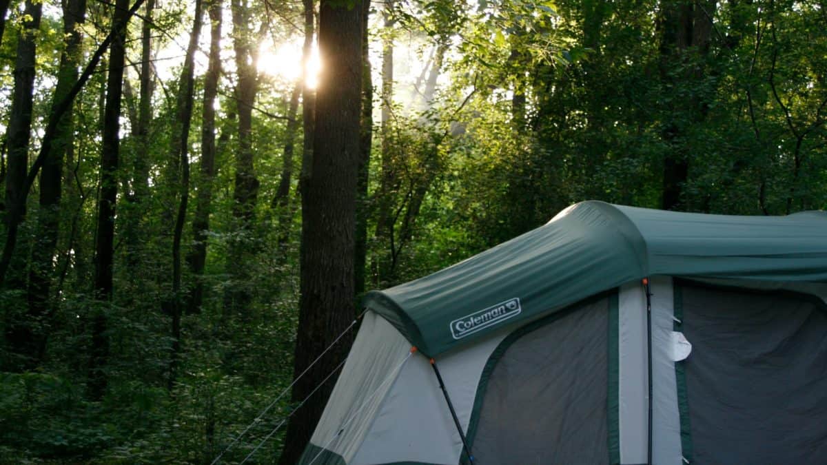 Coleman tent in the woods