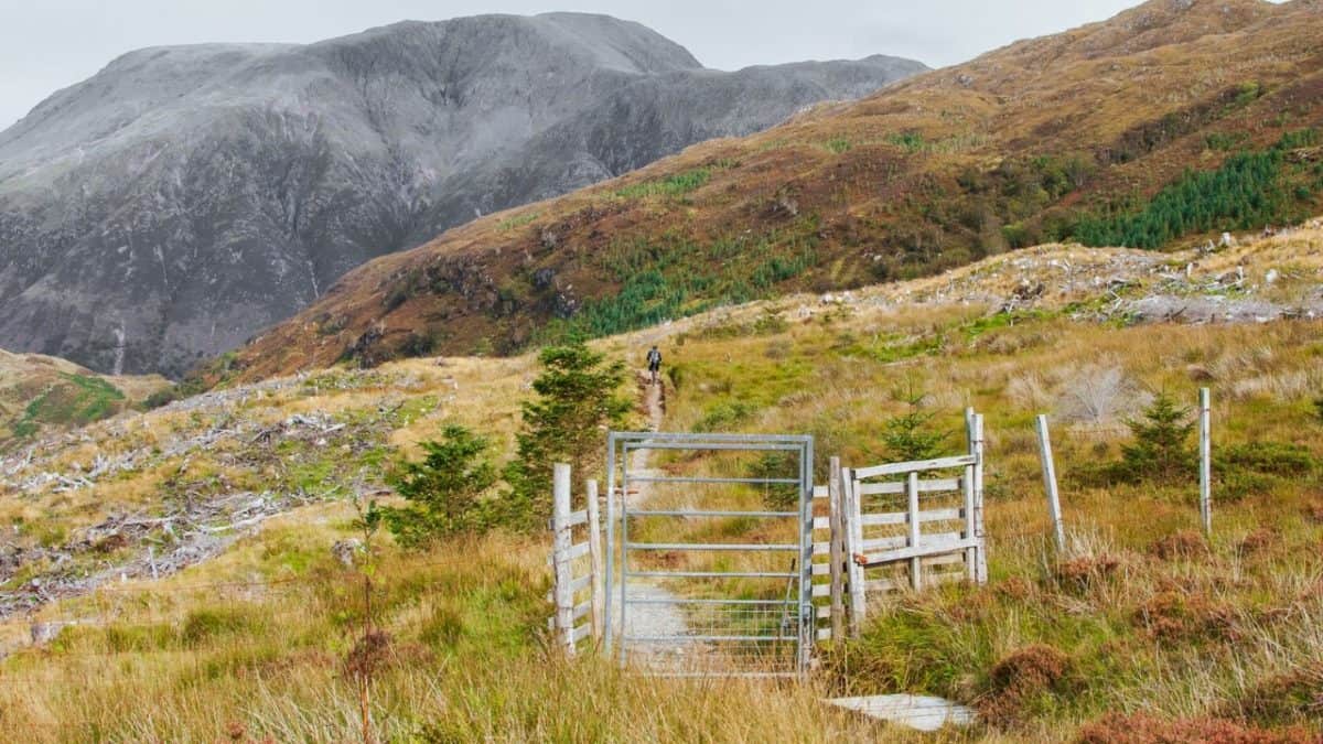 Gate on the West Highland Way