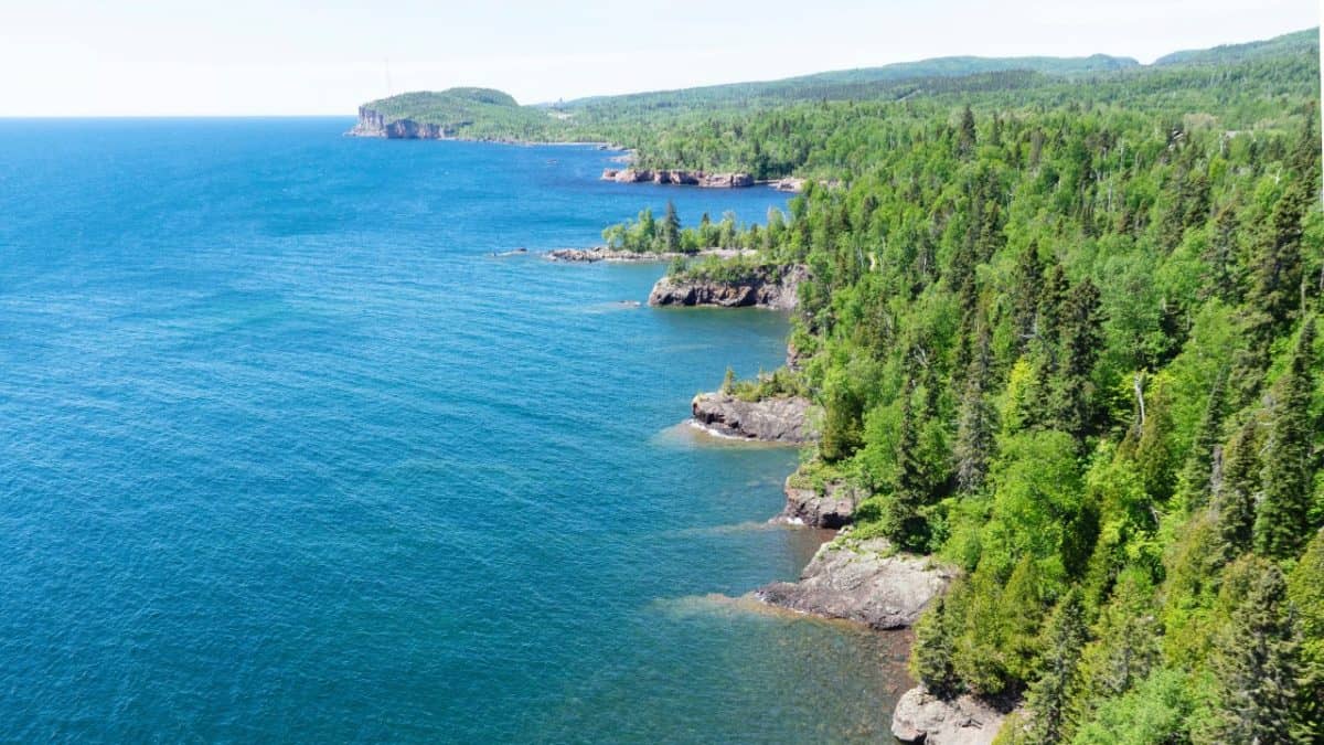 Lake Superior Forest