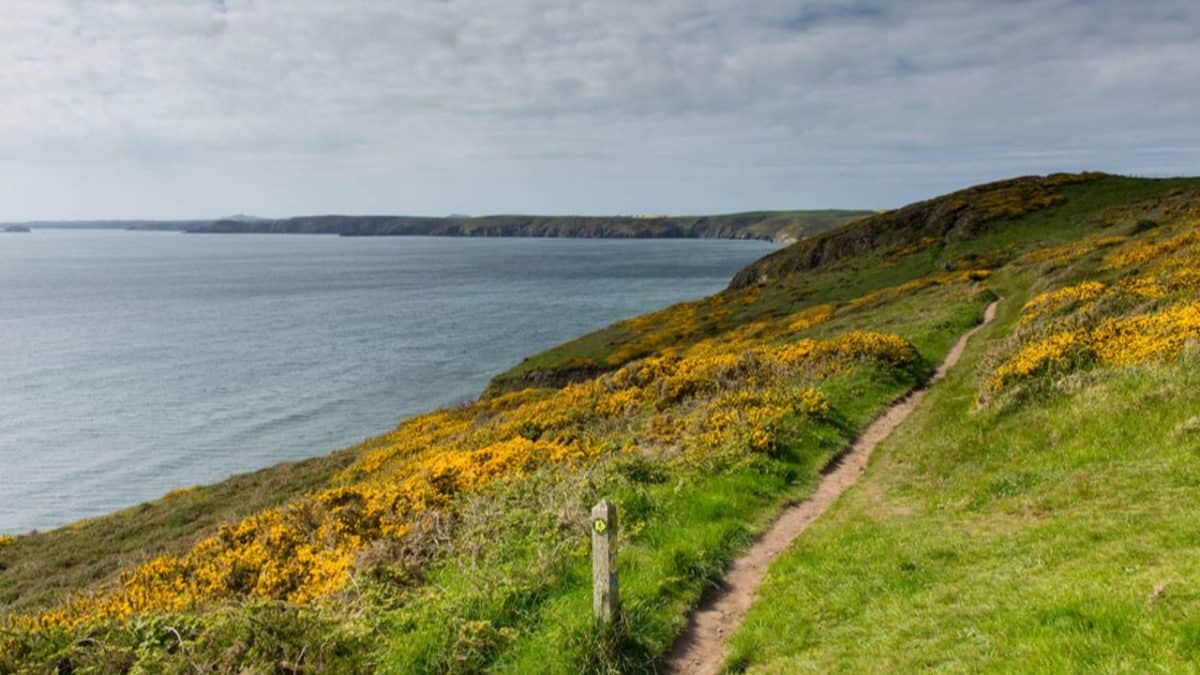 The Pembrokeshire Coast Path in England