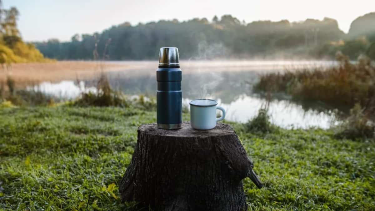 Thermos flask on a tree stump
