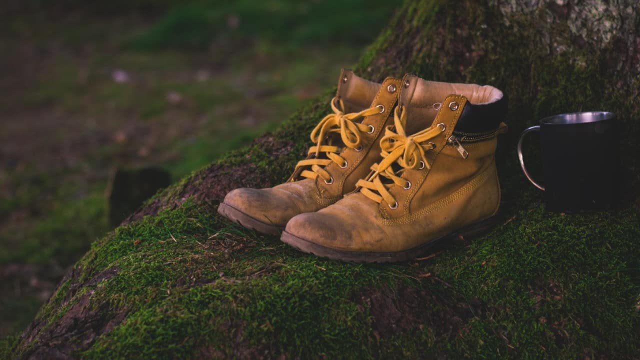 Orange hiking shoes