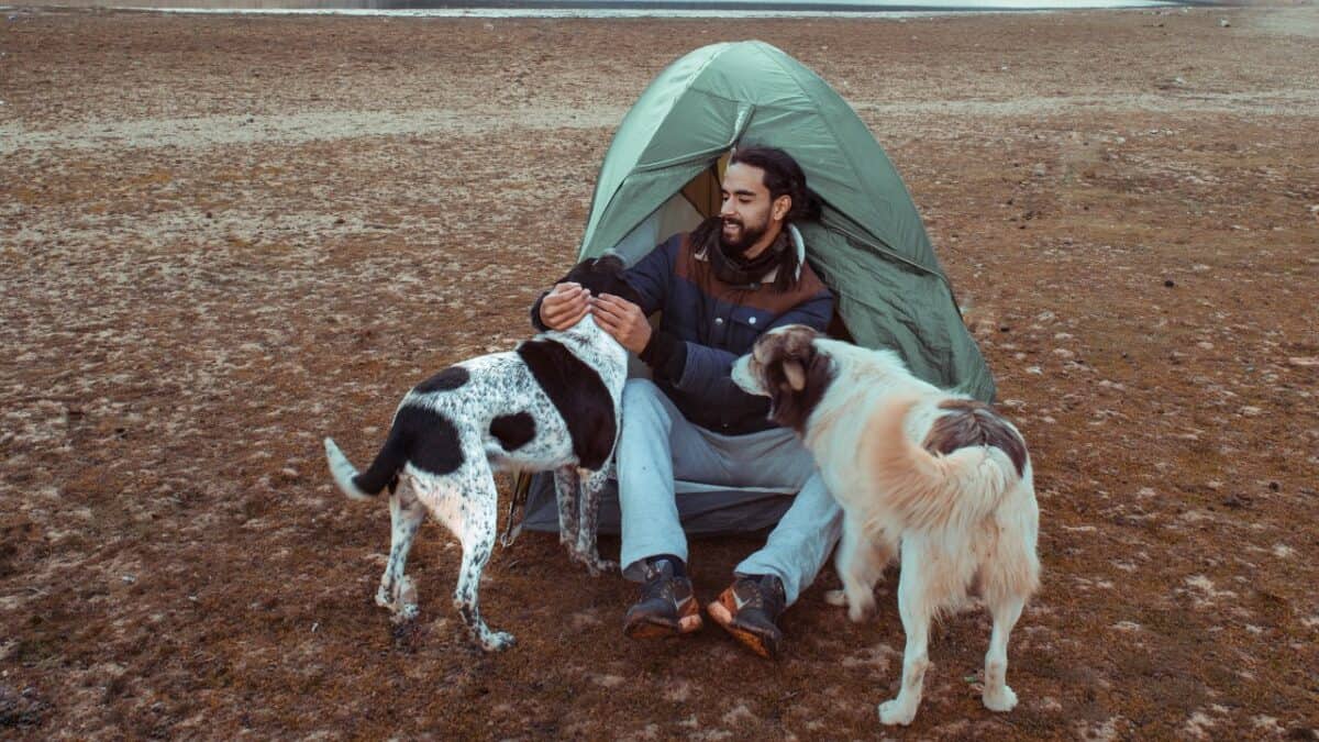 Camper with dogs