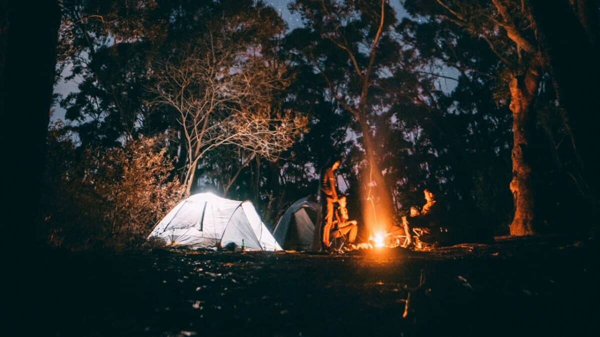 Dispersed campsite at night