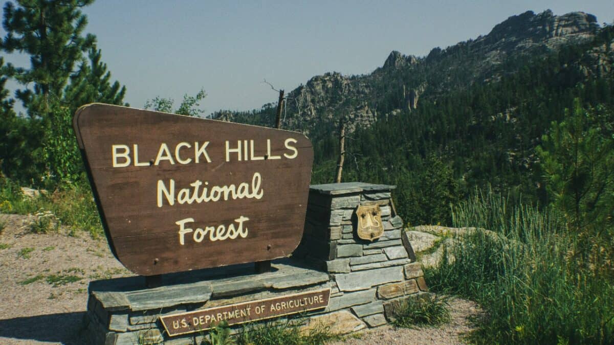 Black Hills National Forest sign