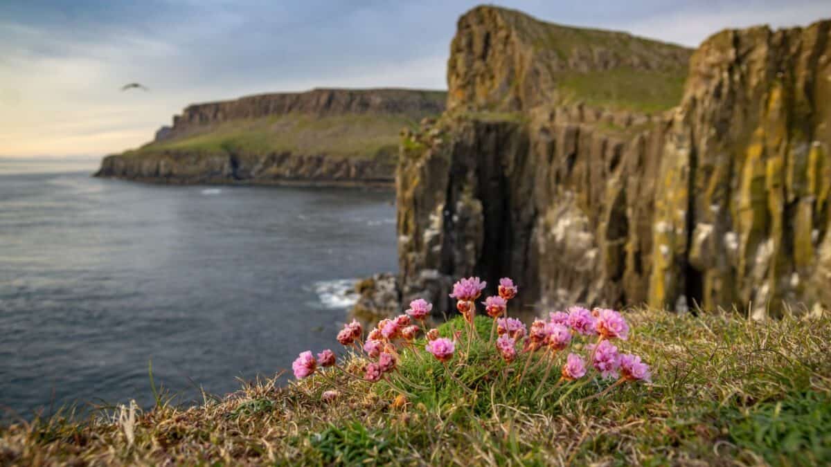Nature on the Isle of Skye
