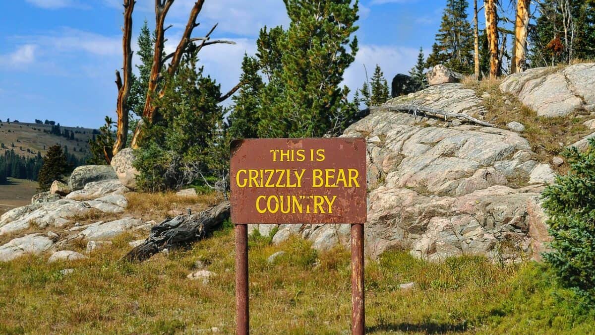 Sign in Montana