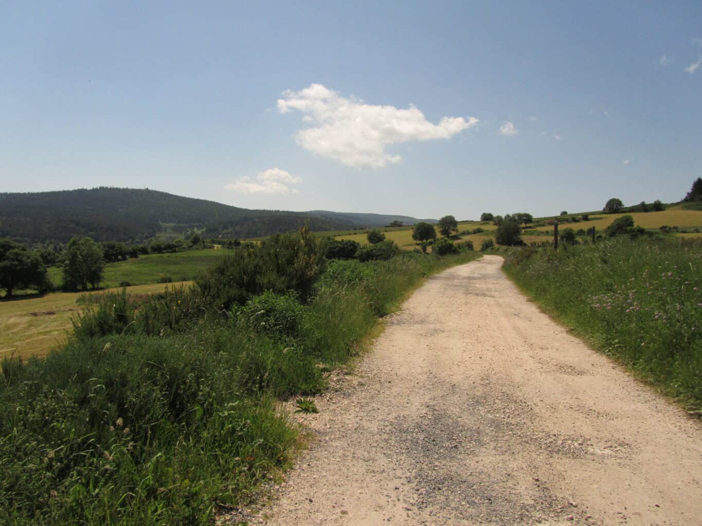 The camino on the plateau 