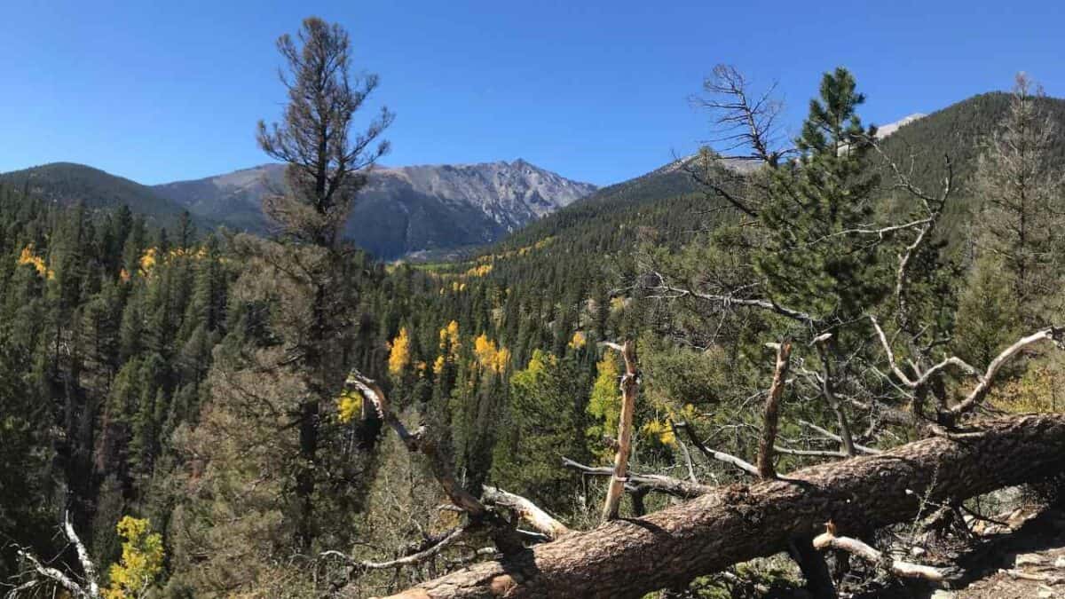 Brown’s Creek Trail near Buena Vista Colorado
