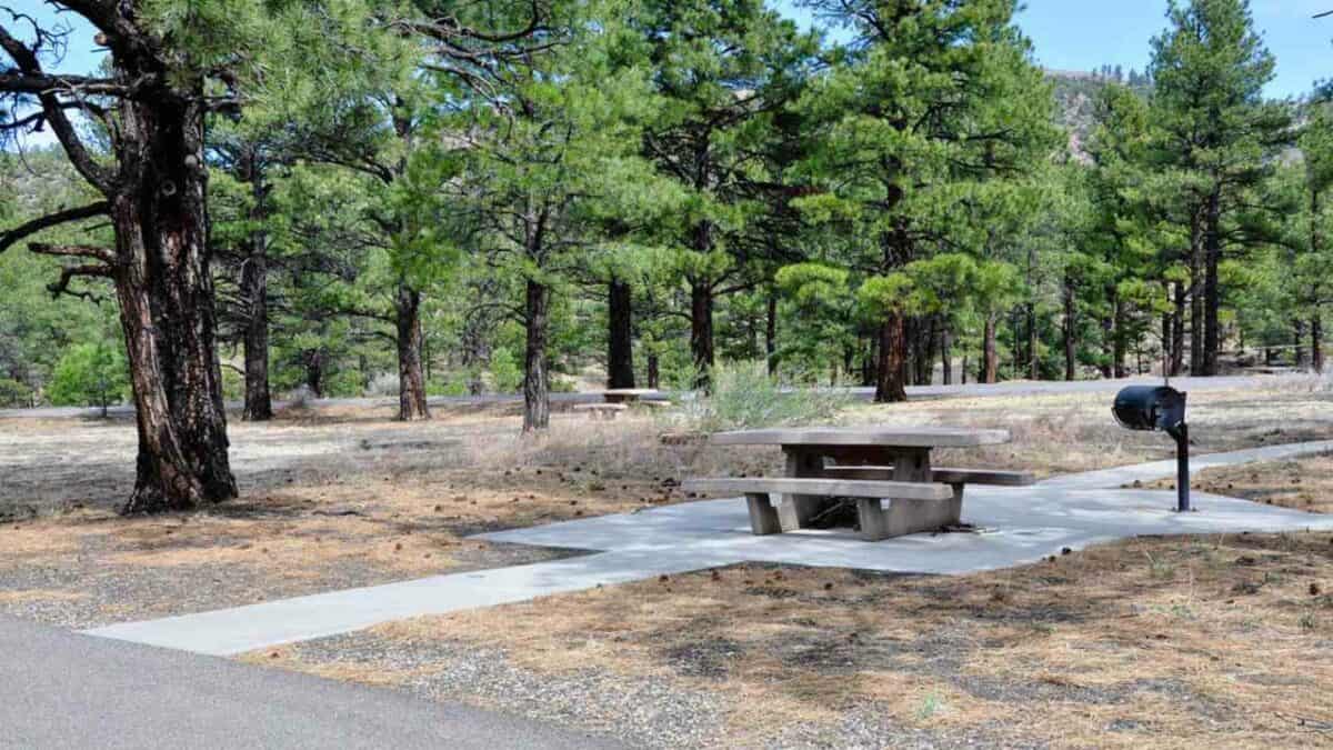 Picnic table at a dispersed campsite in Colorado