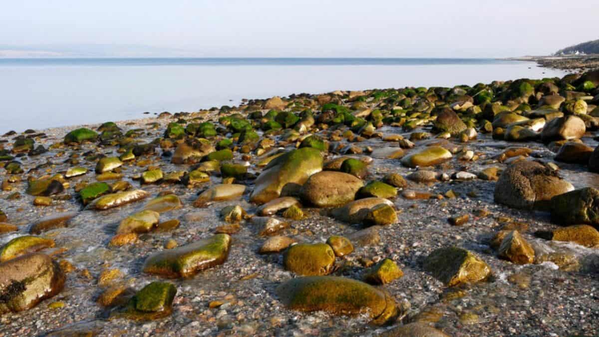 Boulders at Pirnmill Beach on the Isle of Arran