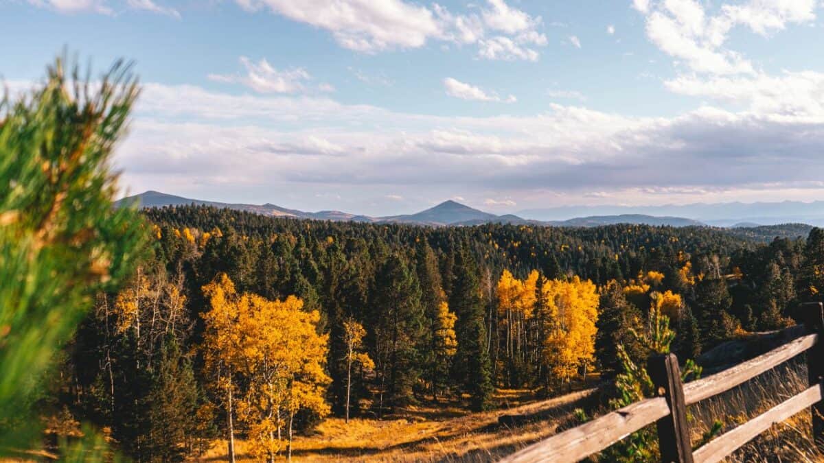 Mueller State Park in Colorado in fall