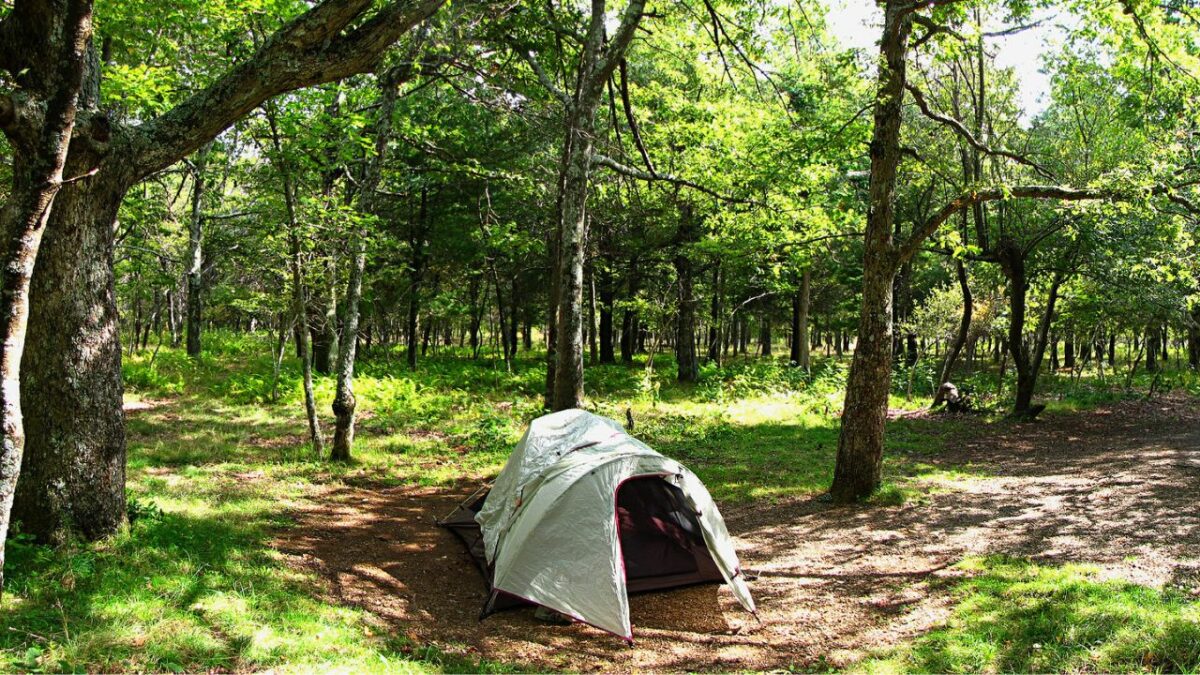 Campsite at Big Meadows, Shenandoah National Park