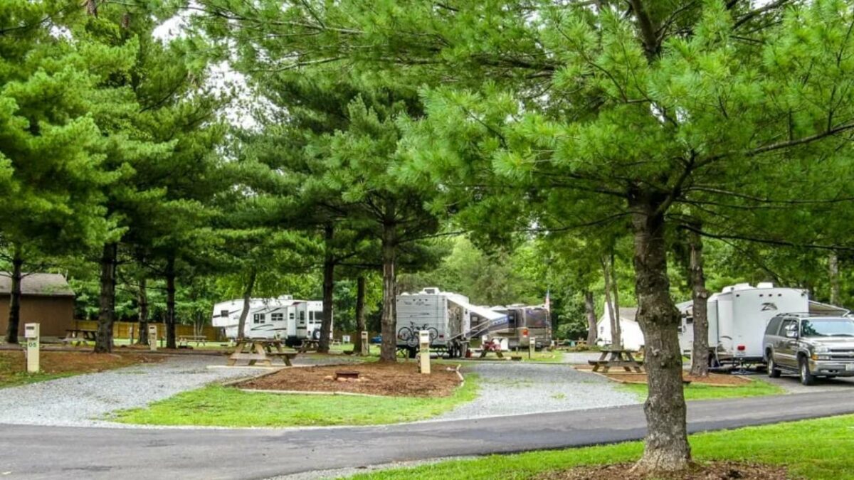 RVs parked at Misty Mountain RV camp resort in Shenandoah National Park