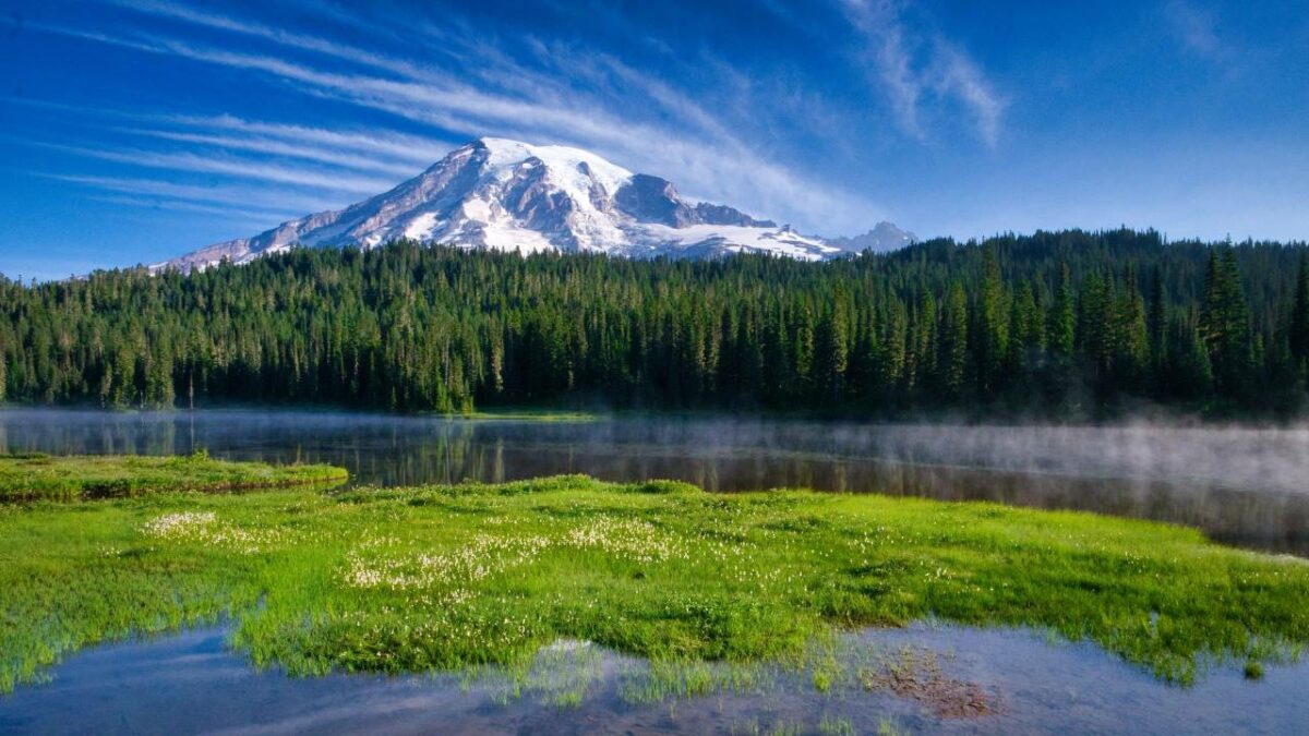 Reflection Lakes and a forest with snowy mt Rainier in the background