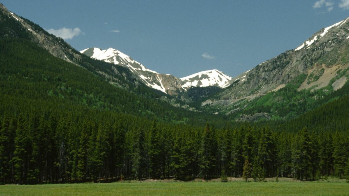 A view of a meadow at the base of a wide sloping valley in-between peaks in Rocky Mountain National Park in summer