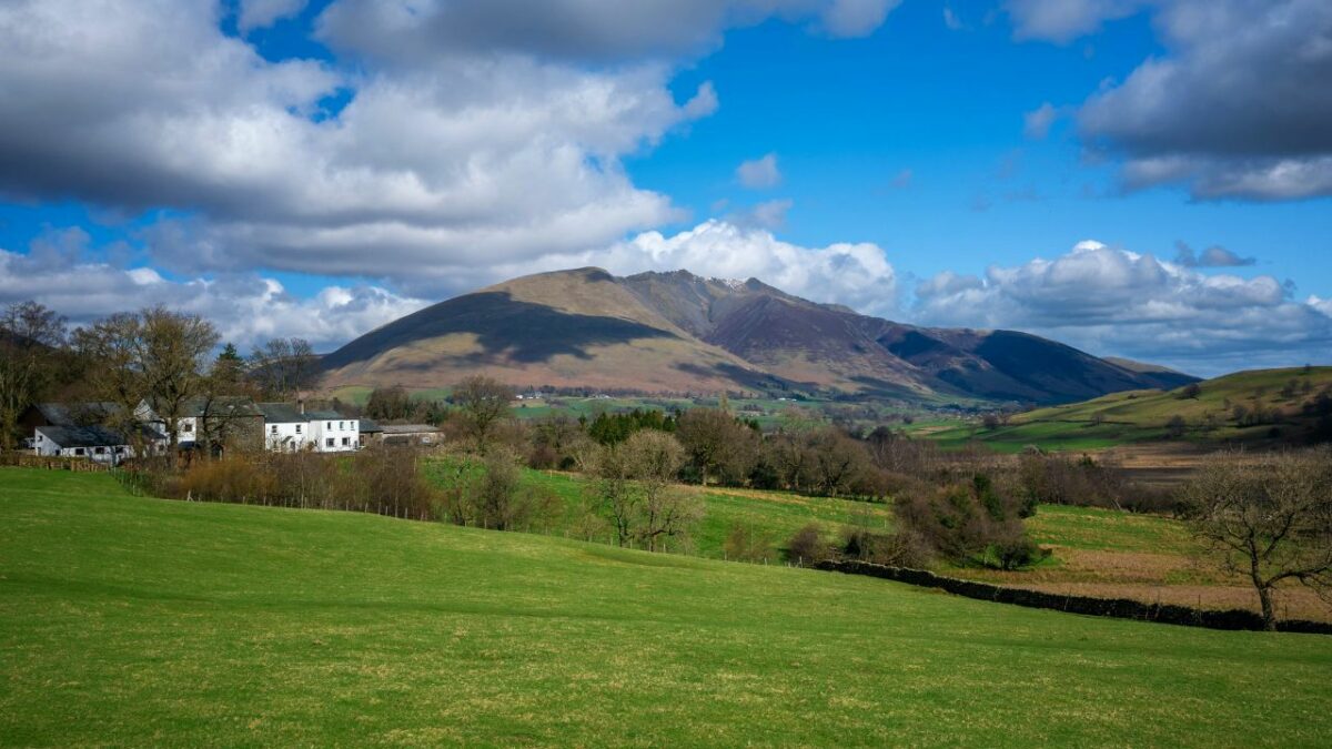 A green grass field in Keswick on a sunny day