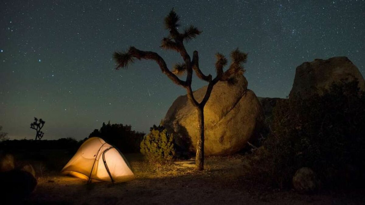 Joshua Tree National Park's dispersed campsite at night