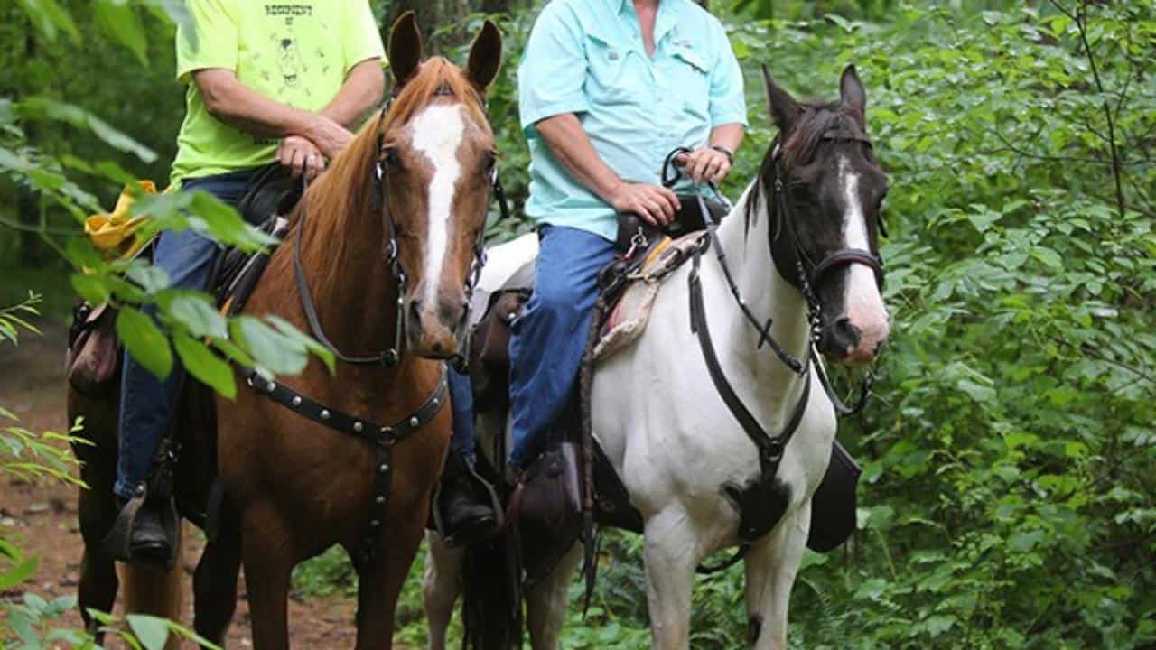 Two horse riders on the Kinderhook Horse Trail
