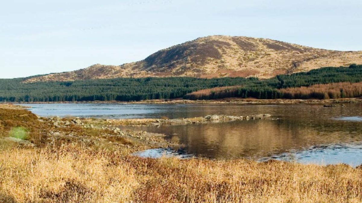 Loch Doon on the eastern border of the Galloway State Park