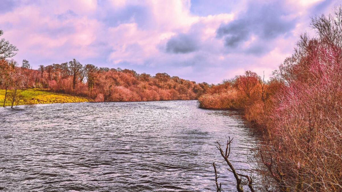 River Erne near Lower Lough Erne in autumn