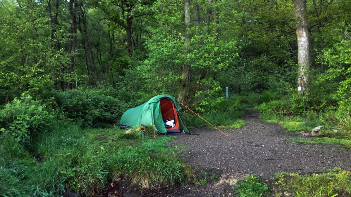 A single green tent at the Sallochy Campsite