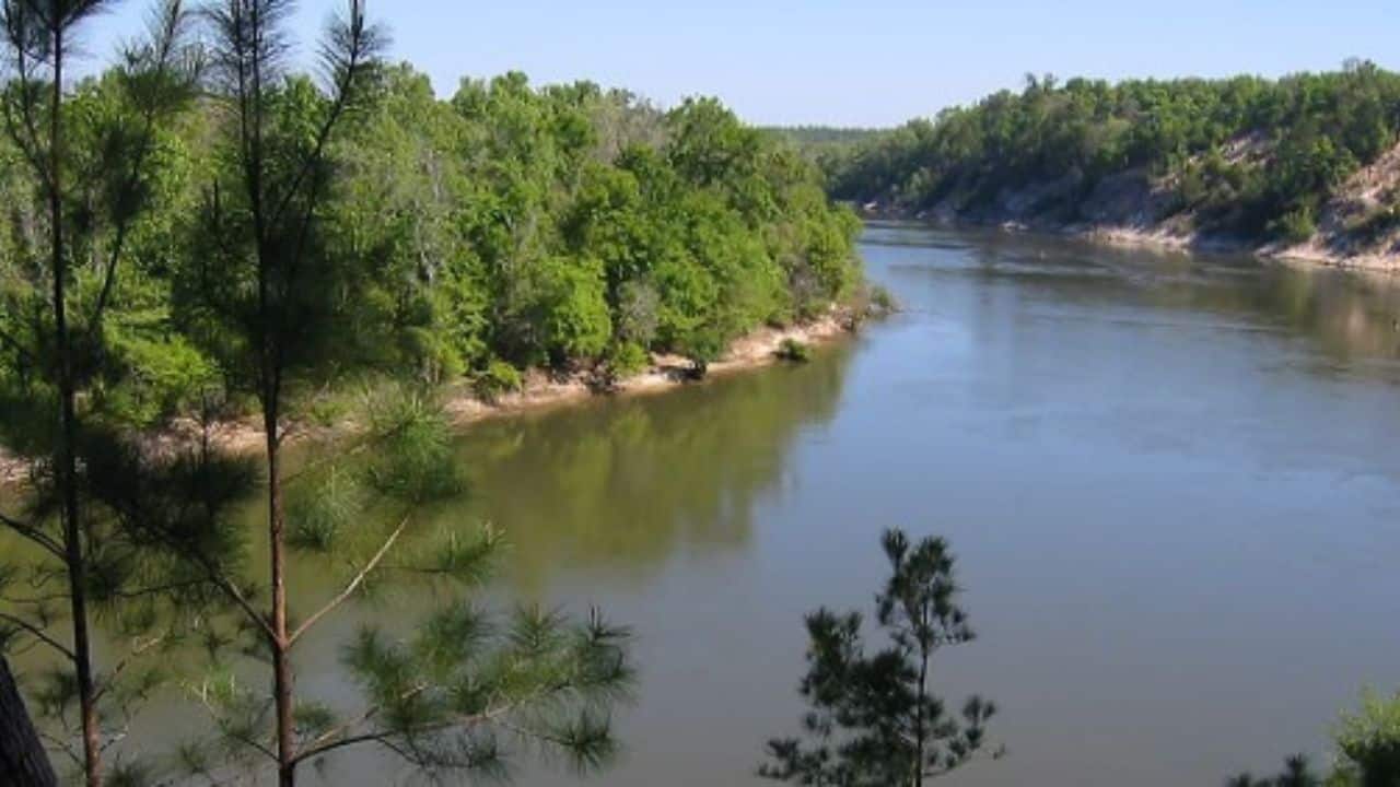 Apalachicola River near Cotton Landing