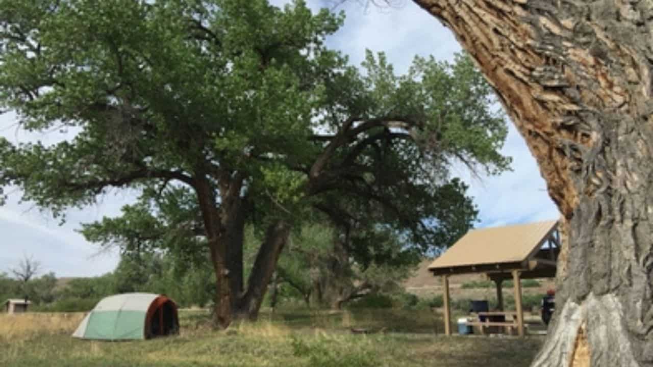 Tent and picnic area under a tree at Cottonwood Grove Campground
