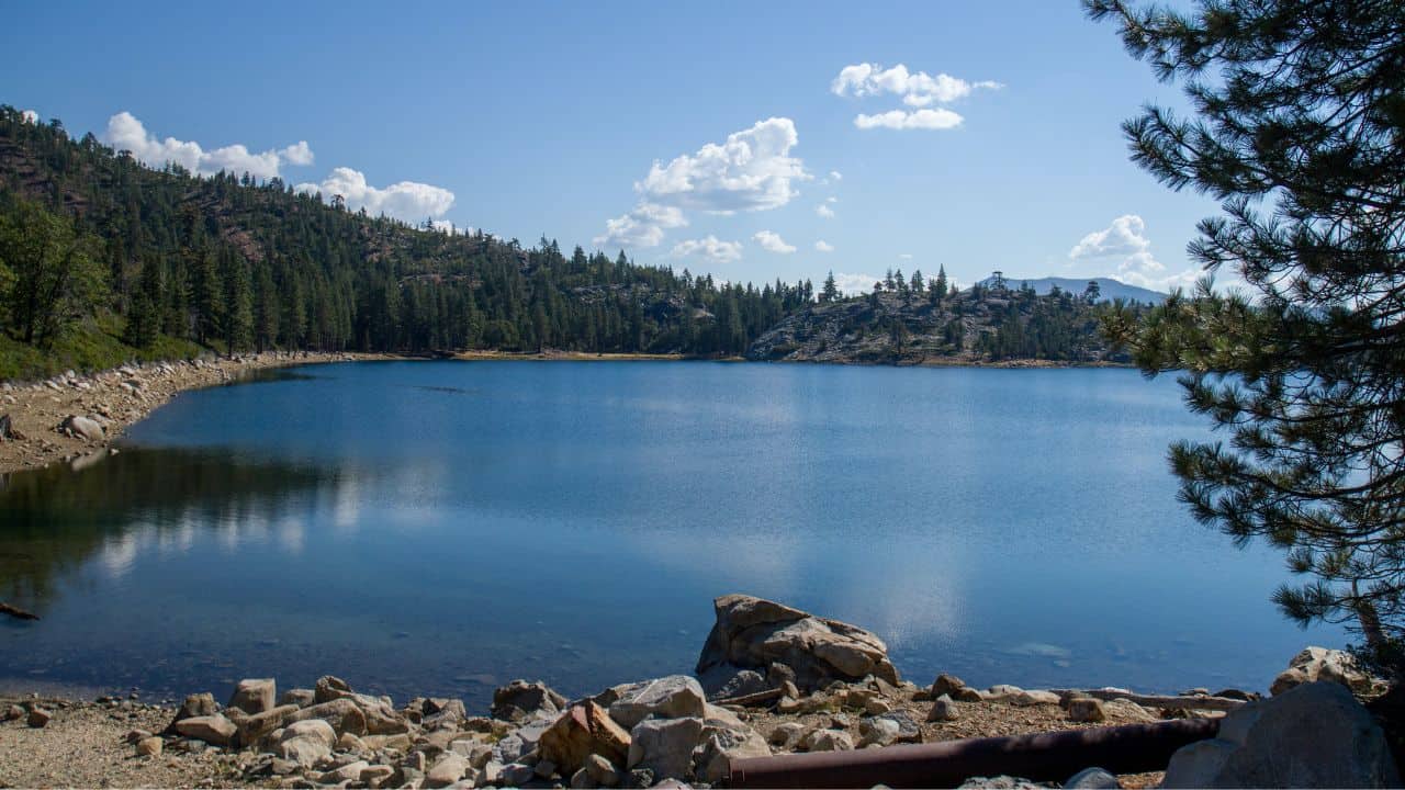 Large lake surrounded by trees in Tahoe National Forest