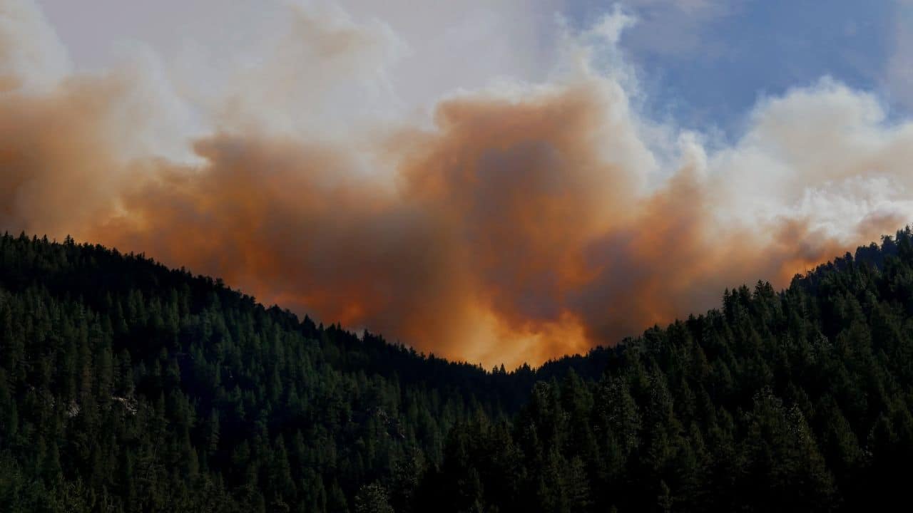 Forest fire in Colorado