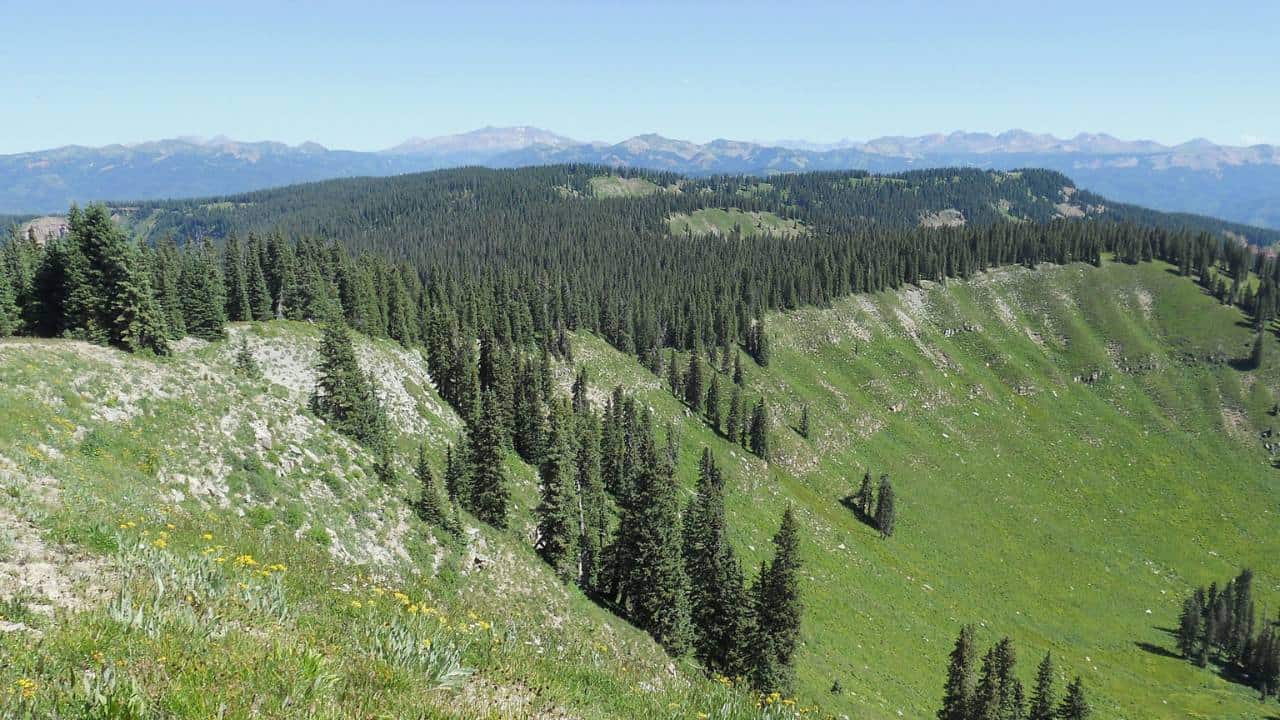 Trees and ridge in the Hermosa Creek Wilderness area in Colorado