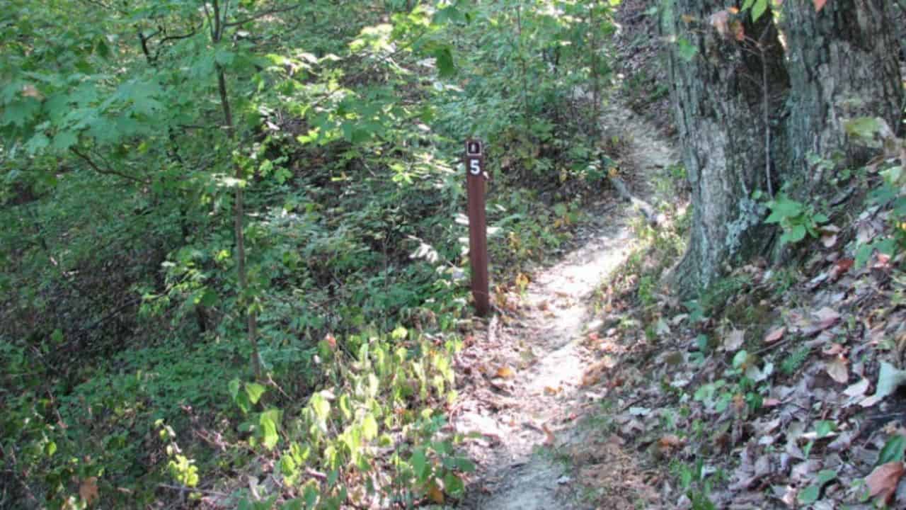 Knobstone Trail near Elk Creek in Indiana