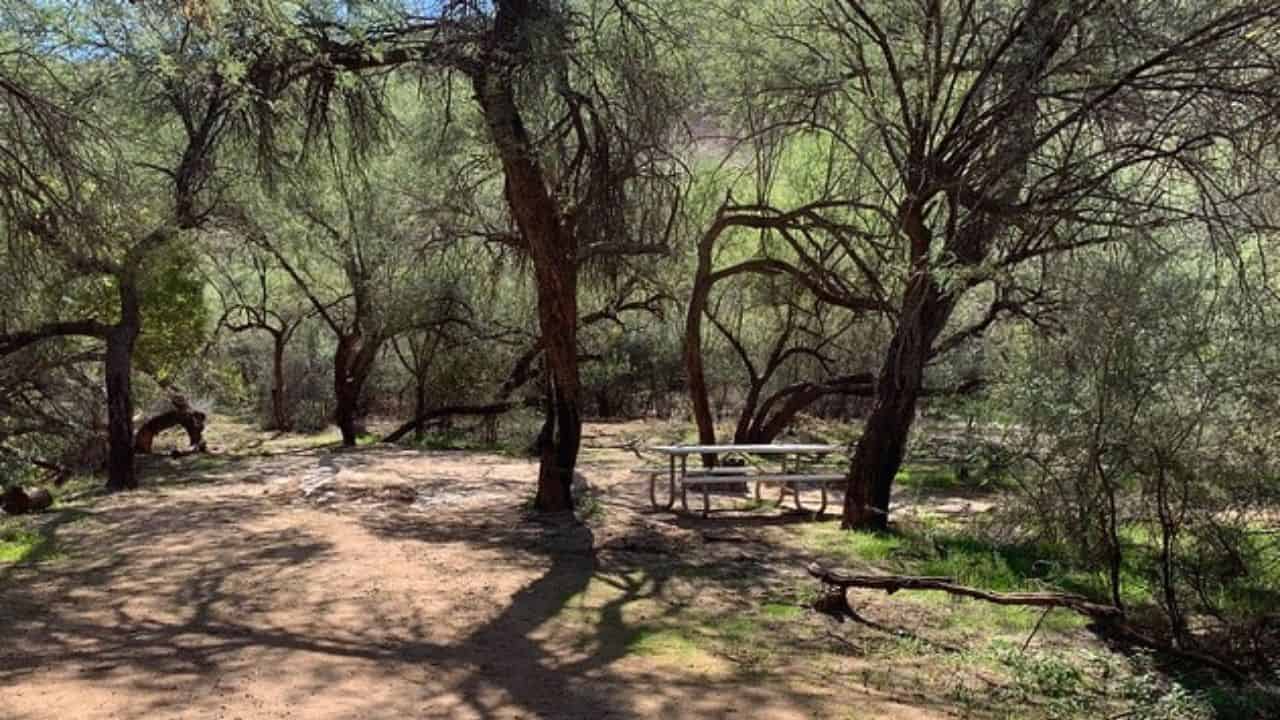 Mesquite campground near Phoenix