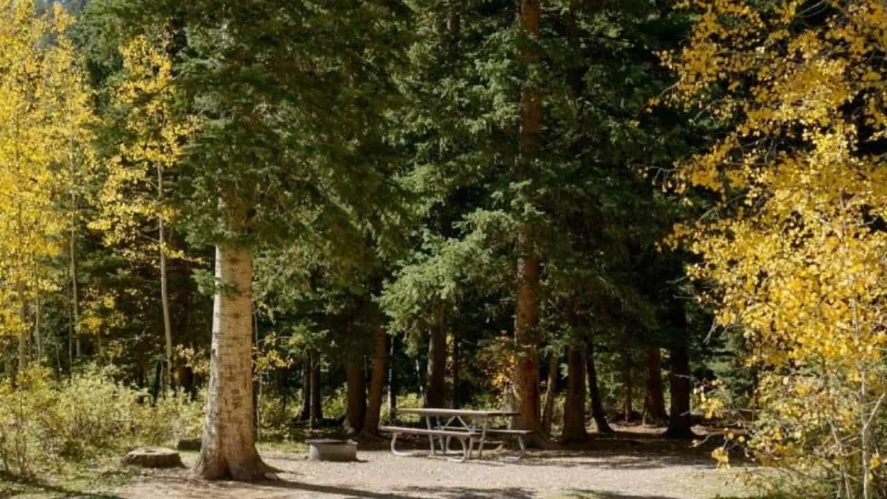Table and benches at the Snowslide Campground near the Miner's Cabin, Colorado
