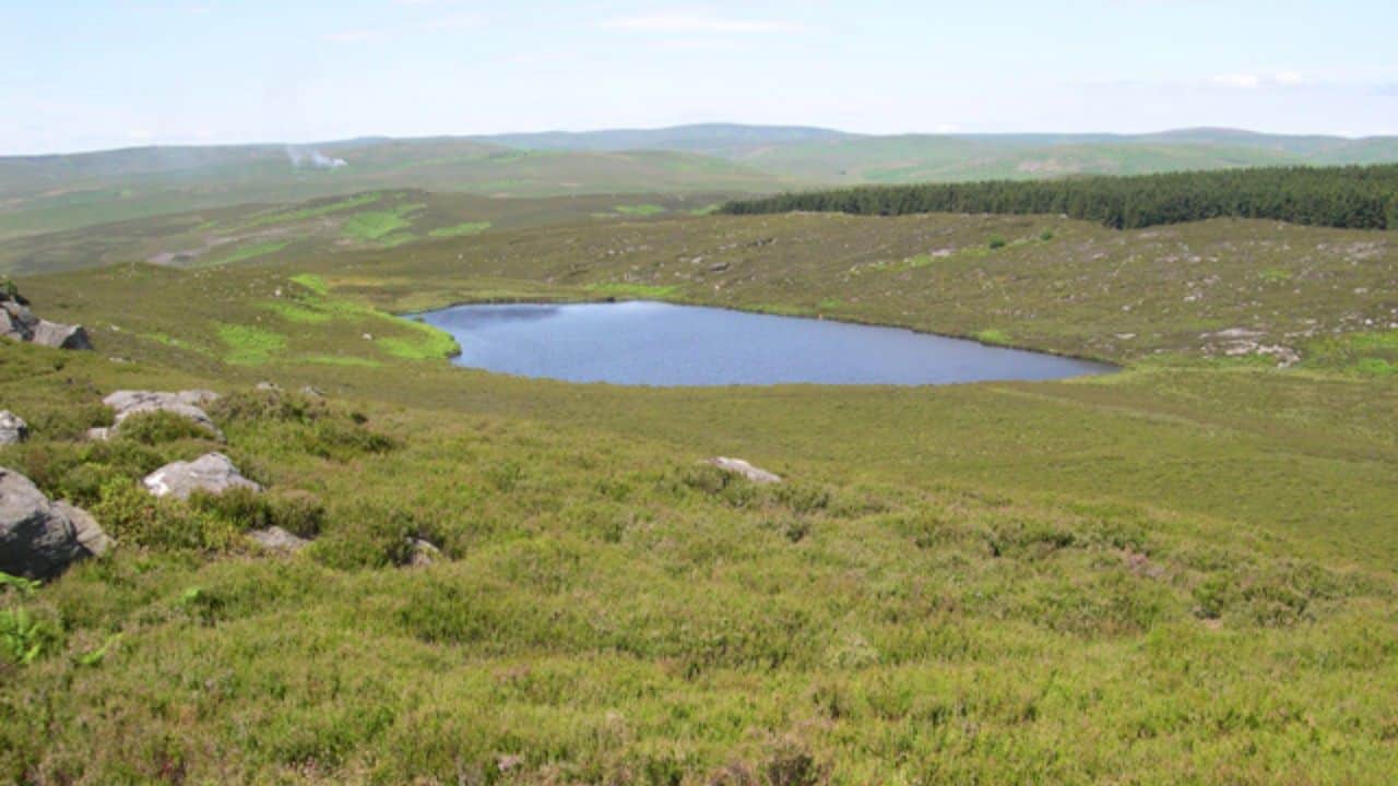 Harbottle Lake with a forest and hills in the background