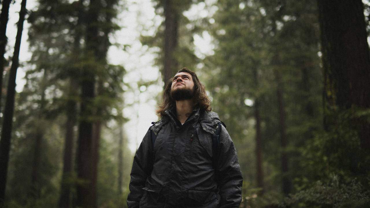 A man wearing a black jacket standing in a rainy forest