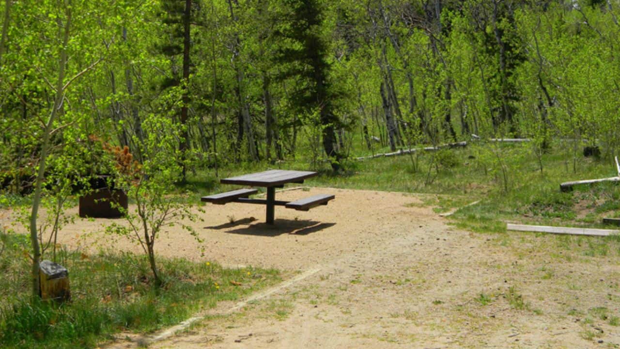 Table and benches at Bellaire Lake Dispersed Camping