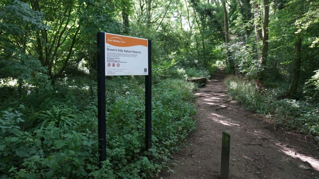Sign and path into Brown's Folly Nature Reserve