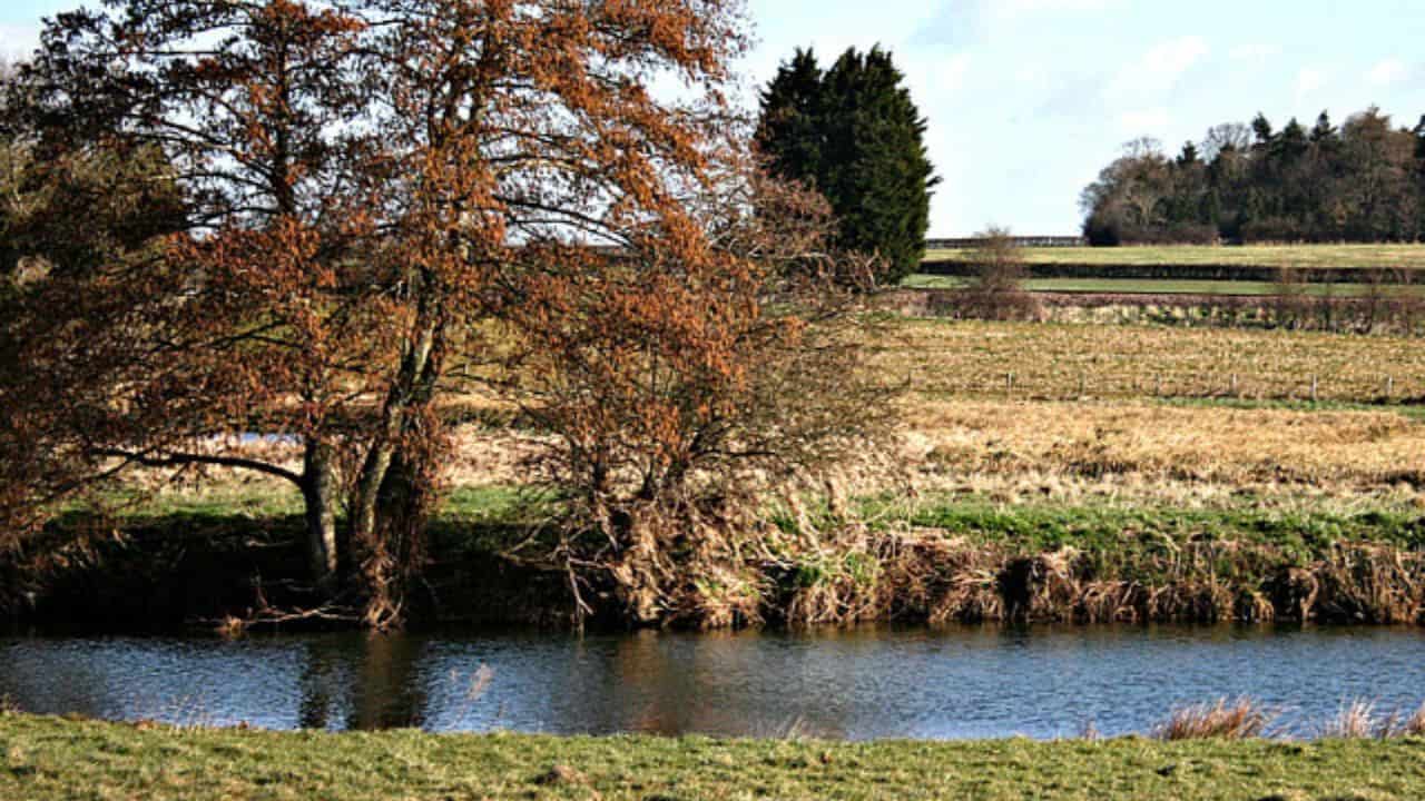 The River Avon and Great Bradford Wood