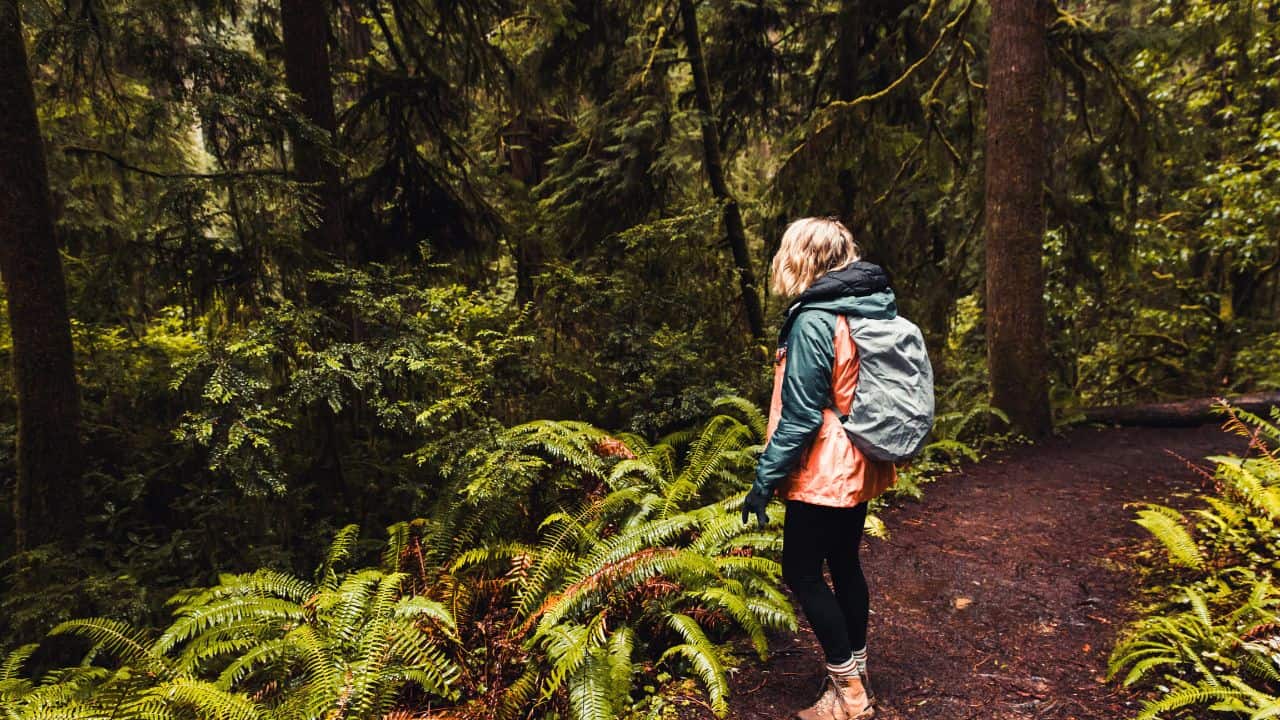 Woman wearing a wild camping backpack and hiking deep in the forest