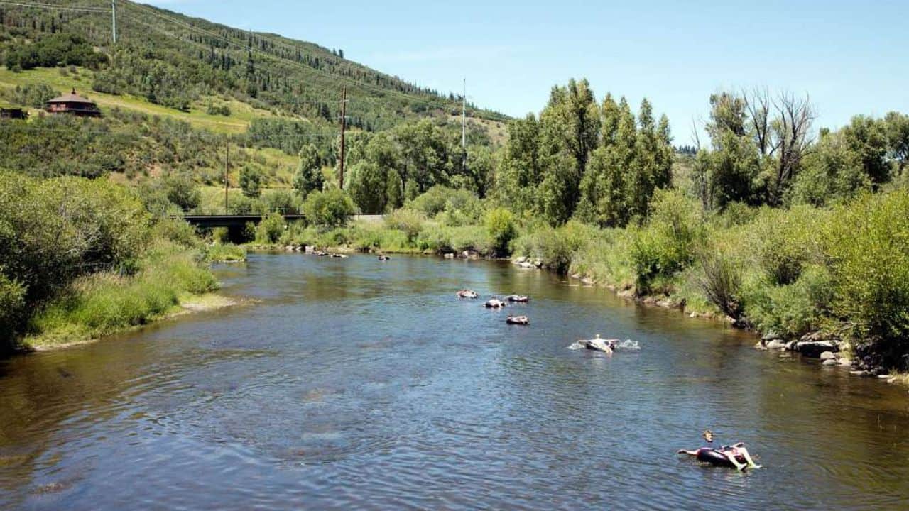 Yampa River near Steamboat Springs near Forest Service Road 302