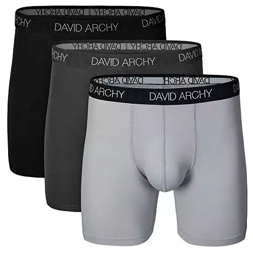 DAVID ARCHY Mens Underwear Solid Quick Dry Polyamide Boxer Briefs Active Performance Sports Waistband Ultra Soft Breathable Underwear in 3 Pack No Fly (M, Black/Dark Gray/Light Gray - Solid No Fly)
